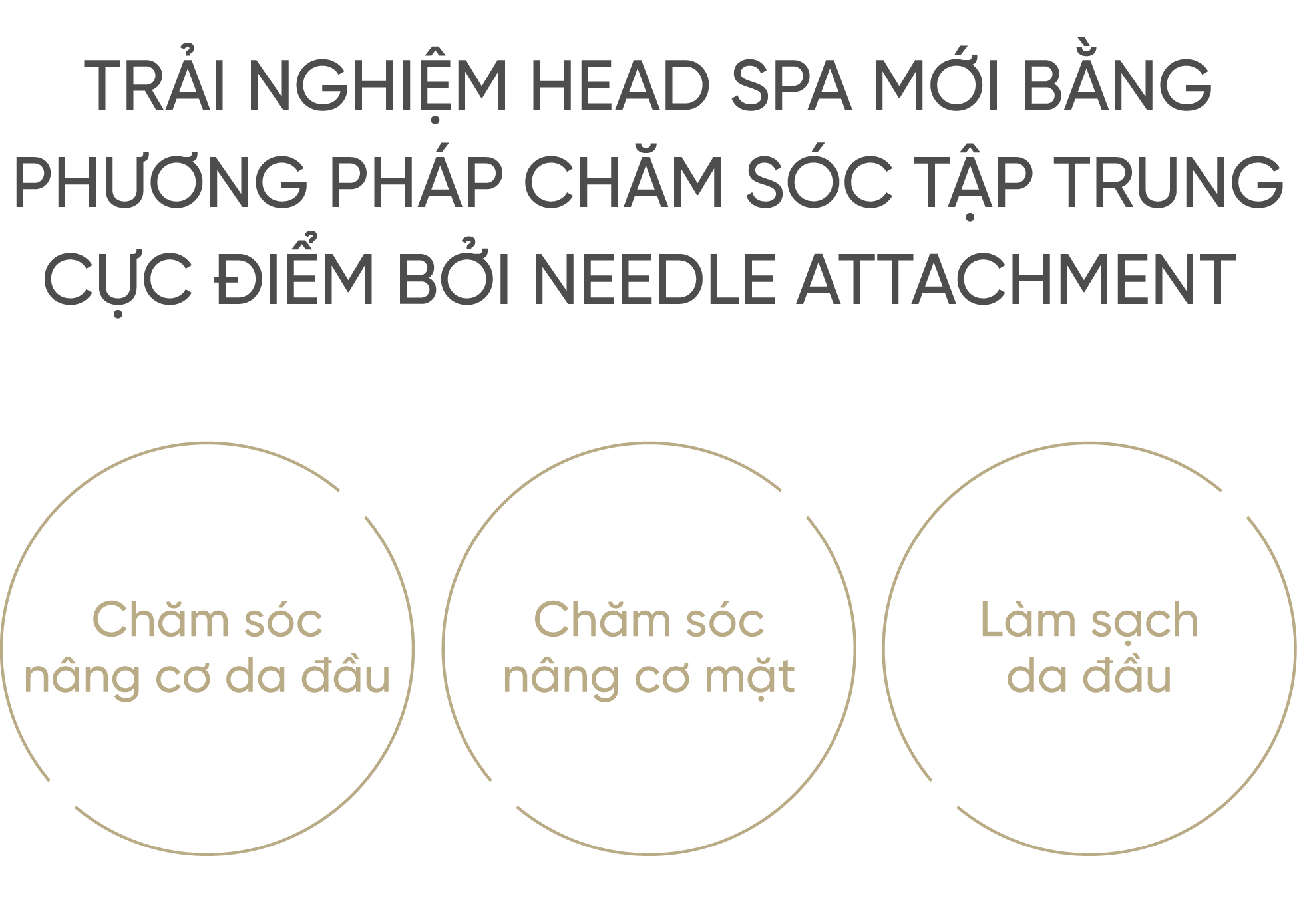 Chăm sóc cực kỳ chuyên sâu bằng cách gắn kim